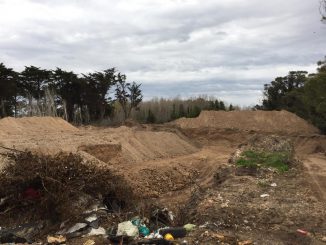 Preocupación ambiental en Miramar
