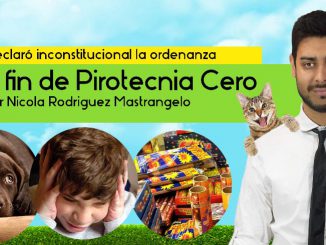 ordenanza Pirotecnia Cero