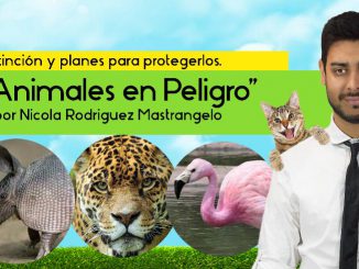 Animales en Peligro de Extinción en Argentina