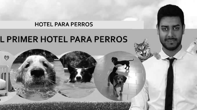 Primer hotel para perros de Booking.com