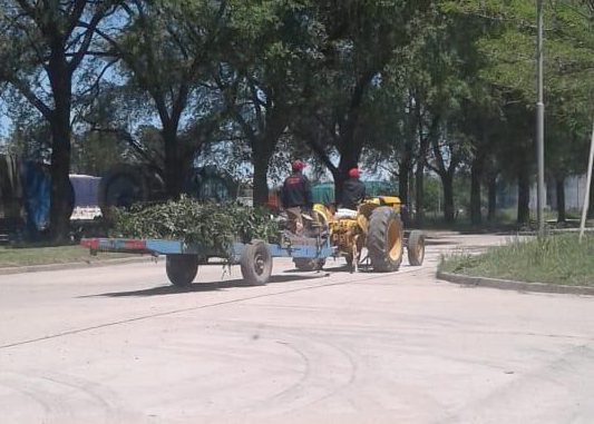 Otamendi falta de recursos y obras