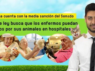Buscan que los enfermos puedan ser visitados por sus mascotas en hospitales
