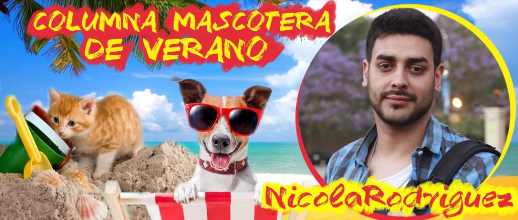 mascotera21022019